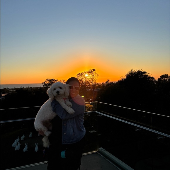 Meet your Posher, Lilly - Picture 2 of 16